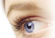 Lentilles de couleur Freshlook Colors moins chères