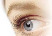 Lentilles de couleur Freshlook One-Day moins chères