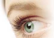 Lentilles de couleur Freshlook One-Day moins chères