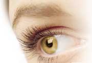 Freshlook Colorblends