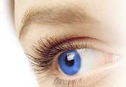 Freshlook Colorblends
